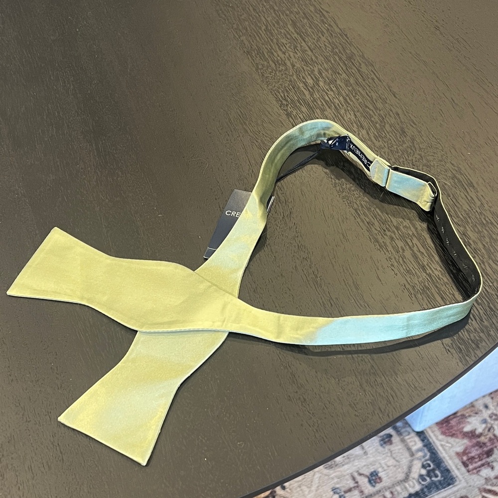 Daniel Cremieux Light Green Bow Tie
